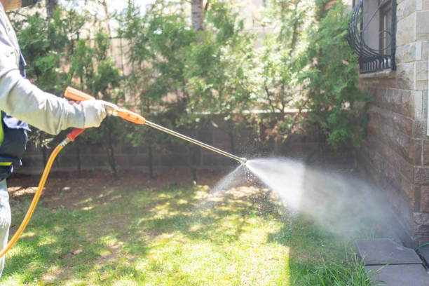 Lawn Pest Control in Mira Monte, CA